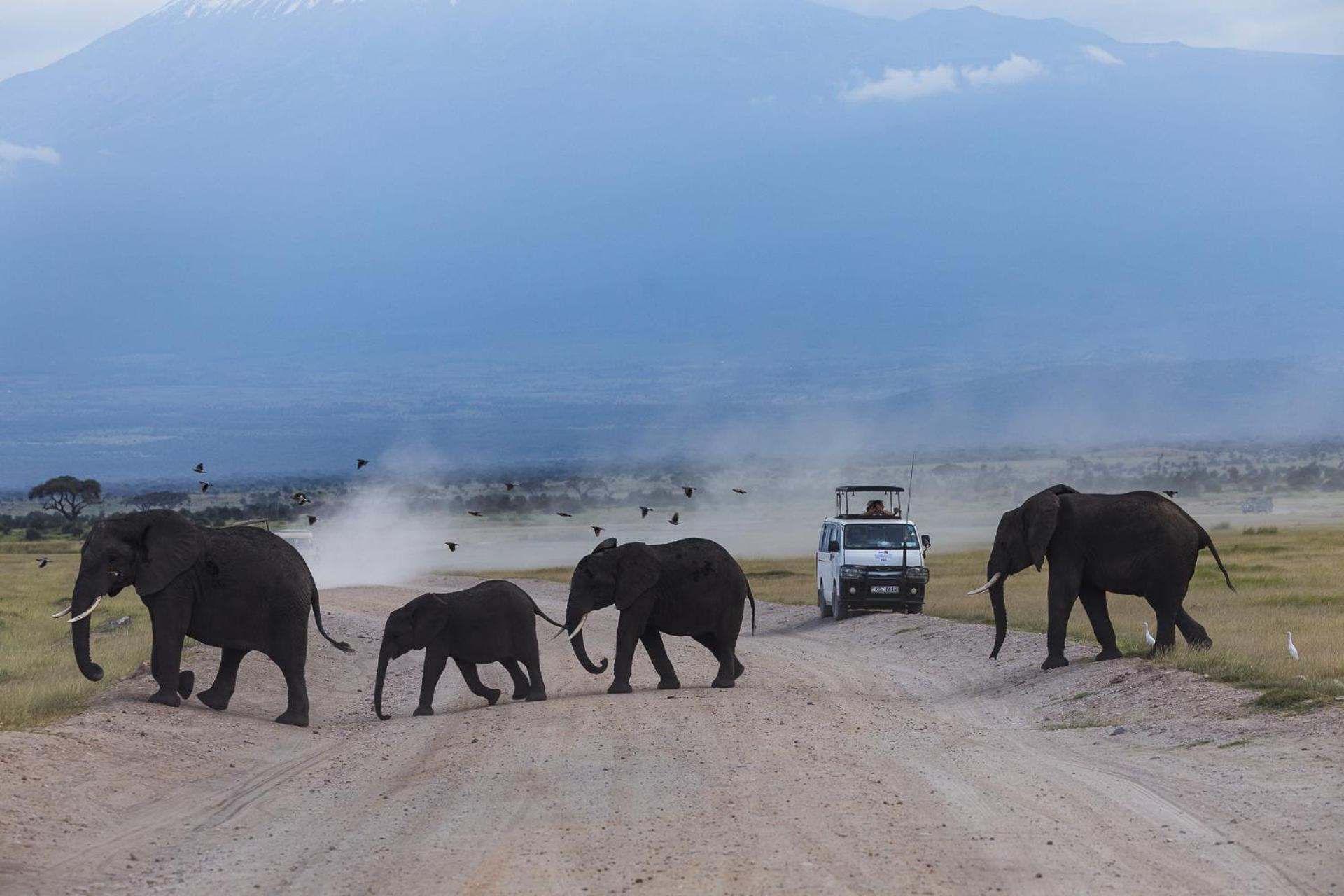 Amboseli Glass House Oloitokitok Exterior photo